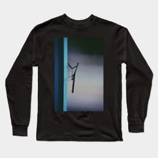 Mantis on a Window Long Sleeve T-Shirt